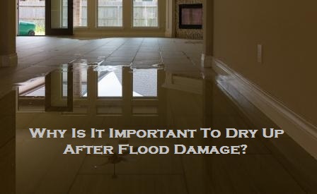 Why Is It Important To Dry Up After Flood Damage?