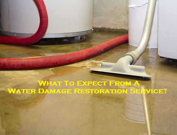 What To Expect From A Water Damage Restoration Service?