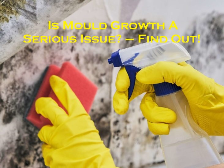 Is Mould Growth A Serious Issue? – Find Out!