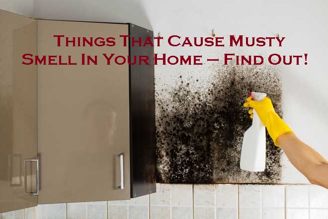 Things That Cause Musty Smell In Your Home – Find Out!