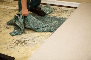 carpet